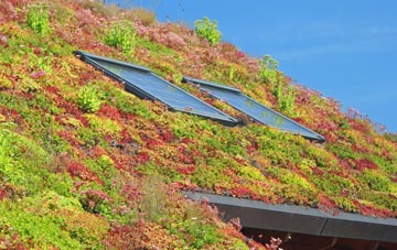 Knightacott living roof systems