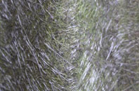 Knightacott fibreglass roof work